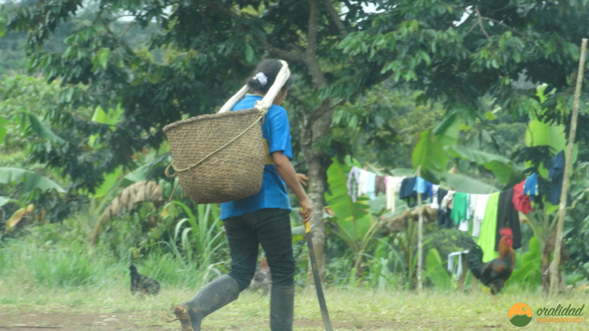 Medio Ambiente Sucumbíos