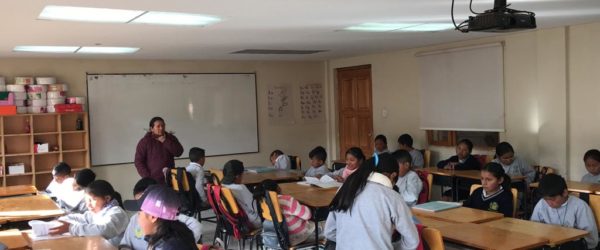 Ecuadorian Indigenous Language and Education