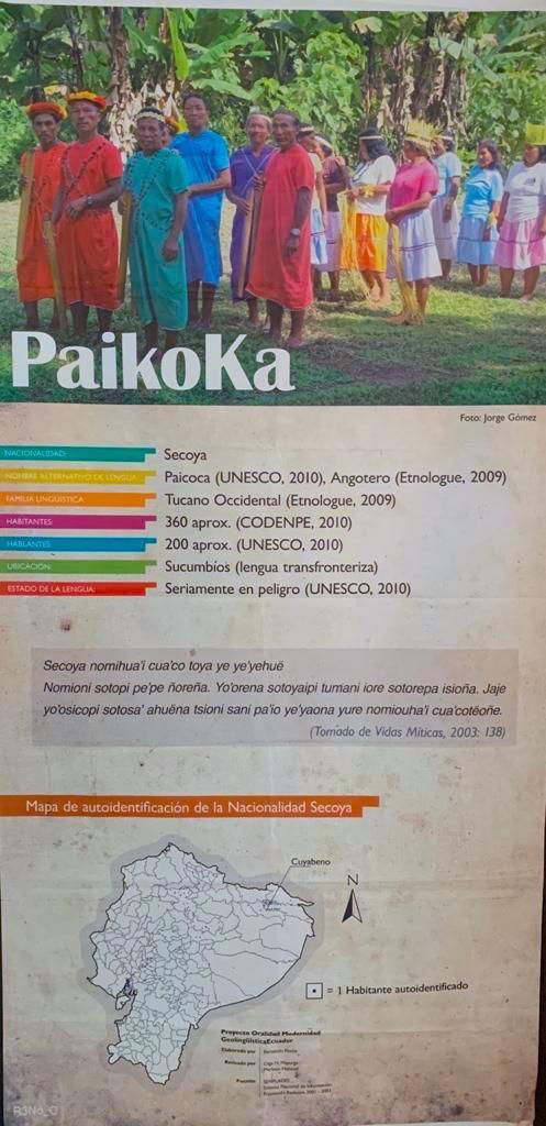 Paikoka