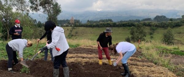 Revitalización lingüístico-cultural en contexto. El rol de la etnobotánica y la investigación interdisciplinaria con comunidades de base.