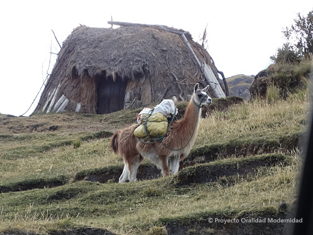 Viviendas Cotopaxi