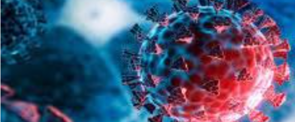 Kellert et al. (2026). “¿Cómo impactaron las fuentes de información y los factores sociodemográficos en la transmisión del conocimiento relacionado con la COVID-19 a nivel de minorías étnicas y lingüísticas?».