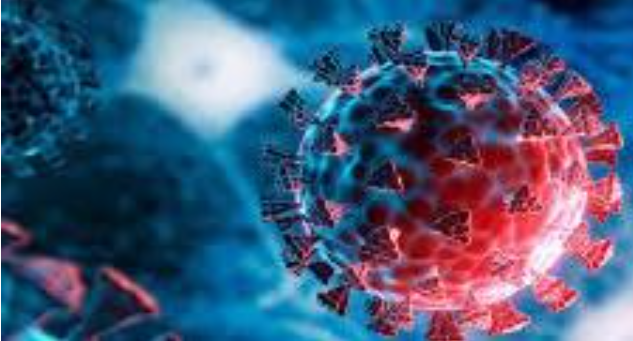 Kellert et al. (2026). “¿Cómo impactaron las fuentes de información y los factores sociodemográficos en la transmisión del conocimiento relacionado con la COVID-19 a nivel de minorías étnicas y lingüísticas?».