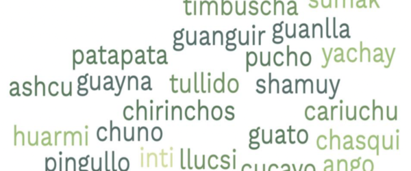 Marleen Haboud y Jefferson Imbaquingo. (2026). “Léxico kichwa en el español ecuatoriano y sus múltiples resignificaciones».
