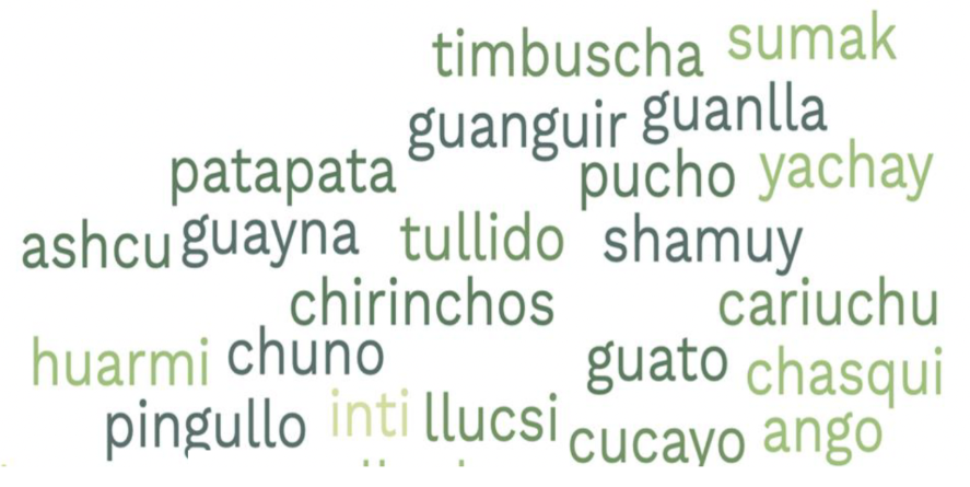 Marleen Haboud y Jefferson Imbaquingo. (2026). “Léxico kichwa en el español ecuatoriano y sus múltiples resignificaciones».
