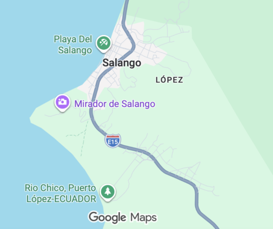 Marleen Haboud, Paola Murillo y Lesli Singo. (2026). “De la racialización a la transracialización: El poder de la palabra en la reivindicación identitaria individual y colectiva».