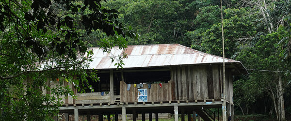 Español de contacto en la Amazonía ecuatoriana