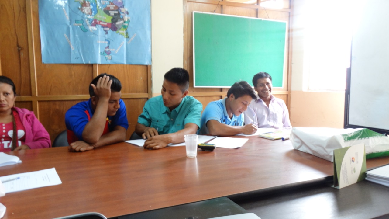 Vulnerabilidad lingüística en Ecuador: la lengua awapit