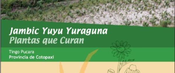 Jambic yuyu yuraguna. Plantas que curan – Cotopaxi