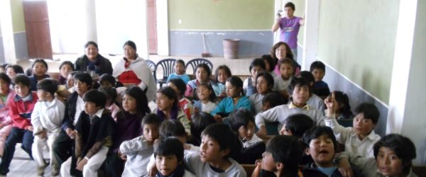 Language Policy and Education in the Andes