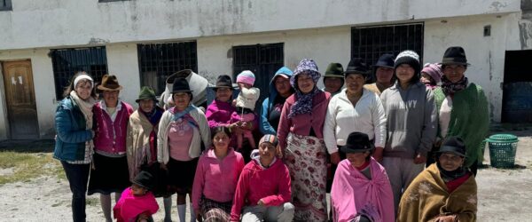Haboud, Marleen y Fernando Ortega (2023). “Lenguas indígenas en el Ecuador: documentación, desplazamiento y prácticas comunitarias desde adentro.